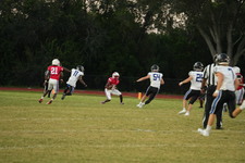 Enlarge photo 494