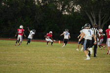 Enlarge photo 495