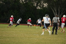 Enlarge photo 496