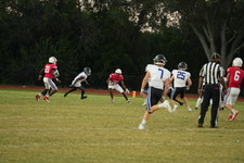 Enlarge photo 497