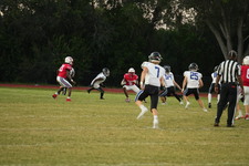 Enlarge photo 499