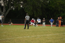 Enlarge photo 509