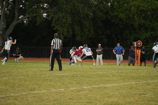 Enlarge photo 511