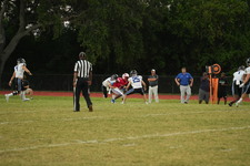 Enlarge photo 512