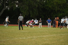 Enlarge photo 513
