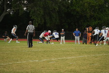 Enlarge photo 514