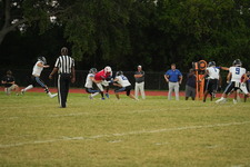 Enlarge photo 515