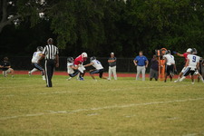 Enlarge photo 516