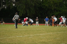 Enlarge photo 517