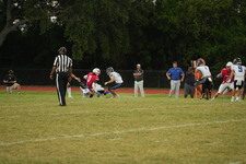 Enlarge photo 519