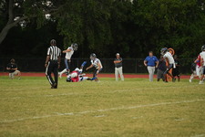 Enlarge photo 521