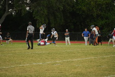 Enlarge photo 523