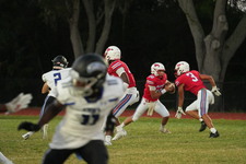 Enlarge photo 535