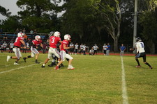 Enlarge photo 620