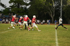 Enlarge photo 619