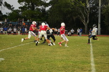 Enlarge photo 622