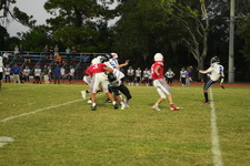 Enlarge photo 621