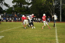 Enlarge photo 623