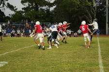 Enlarge photo 625