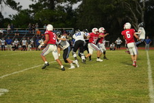 Enlarge photo 626