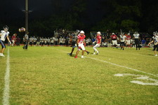 Enlarge photo 1019