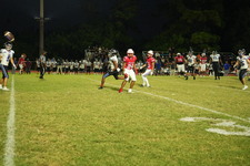 Enlarge photo 1022