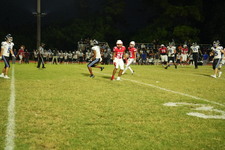 Enlarge photo 1021