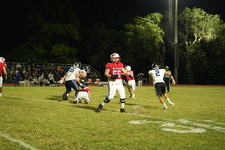 Enlarge photo 1103