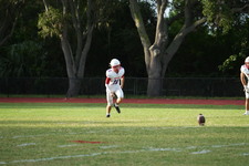 Enlarge photo 143