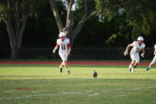 Enlarge photo 149