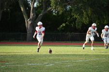 Enlarge photo 154