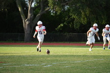 Enlarge photo 156