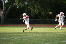 Enlarge photo 163