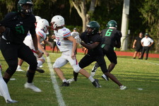 Enlarge photo 179