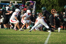 Enlarge photo 195