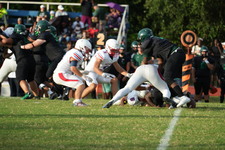Enlarge photo 196