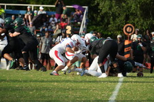 Enlarge photo 198