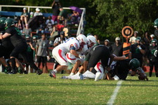 Enlarge photo 199