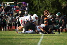 Enlarge photo 202