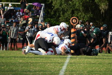 Enlarge photo 203