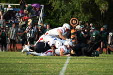 Enlarge photo 204