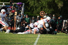 Enlarge photo 209