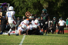 Enlarge photo 214