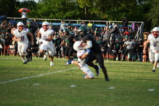 Enlarge photo 224