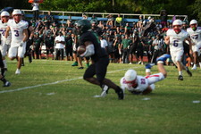 Enlarge photo 228
