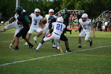 Enlarge photo 234