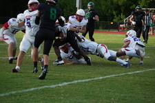 Enlarge photo 242