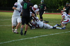 Enlarge photo 243