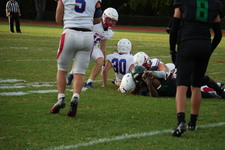 Enlarge photo 251