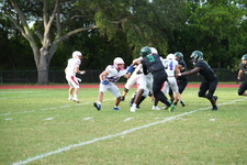 Enlarge photo 253